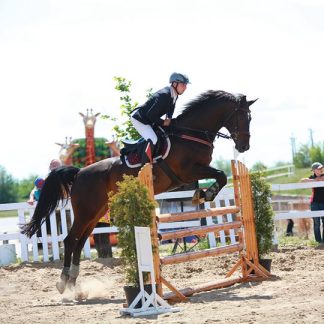 ПРОДАНО! Slievenamon Lux 06
