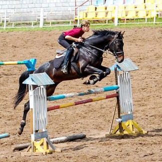 ПРОДАНО! Император 10
