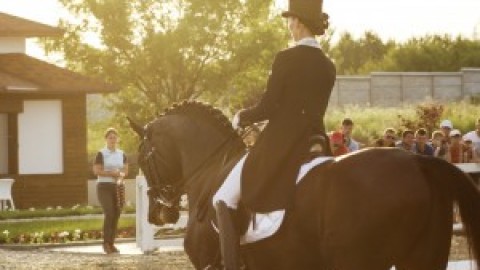 Девушки в конном спорте