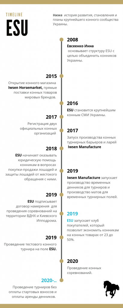 Volleyball History Timeline Infographic (5)