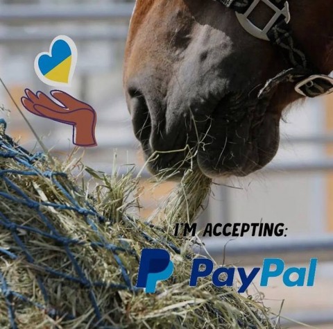 Requisites for contribution to help Ukrainian horses