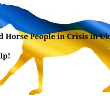 Help Ukrainian Horses with your contribution