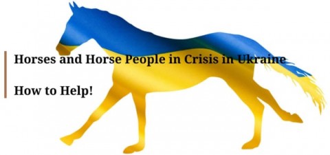Help Ukrainian Horses with your contribution