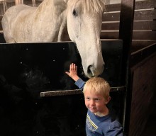 Ще два коня прибули до нової домівки у Швеції