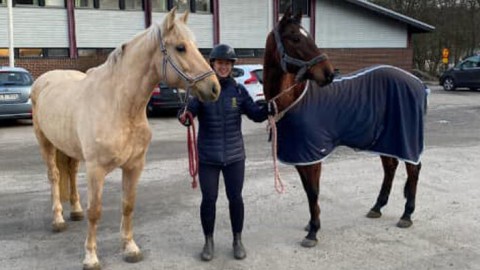 Bela and Yal, two stars who also arrived to their new home in Sweden today