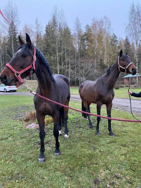 +2 lives arrived to Finland this weekend ✅