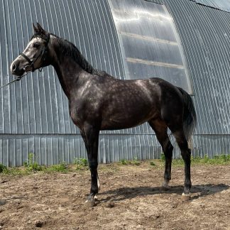 Кругляк 20