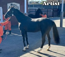 +1 Ukrainian dressage horse arrived to USA