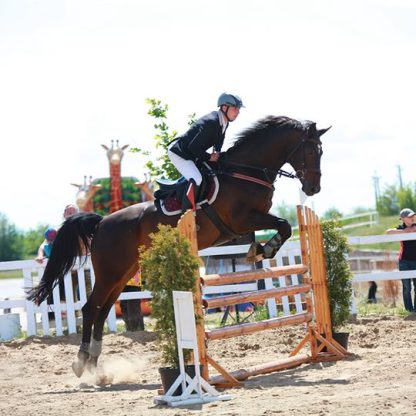 ПРОДАНО! Slievenamon Lux 06
