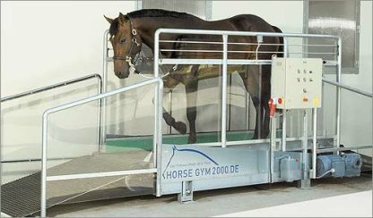 Беговая дорожка Horse Gym 2000 S3