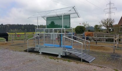 Беговая дорожка Horse Gym 2000 S3