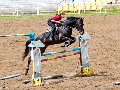 ПРОДАНО! Император 10