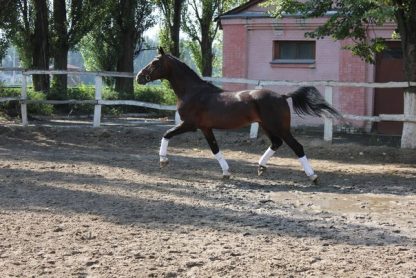 ПРОДАНО! Базис 07