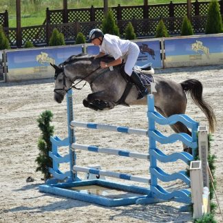 ПРОДАНО! Виртуоз 08
