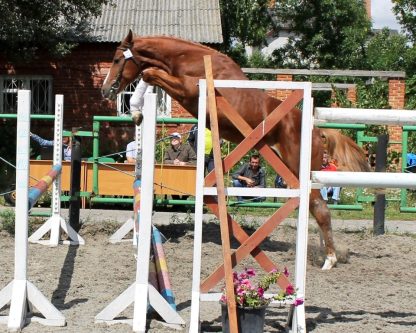 ПРОДАНО! Эль Грандо ПКЗ 11