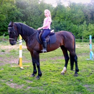 ПРОДАНО! Водограй 09