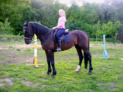 ПРОДАНО! Водограй 09
