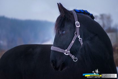ПРОДАНА! Tina fan AFHU 14 - Зображення 7