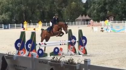ПРОДАНО! Адель 12 - Зображення 9