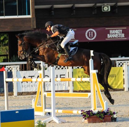 ПРОДАНО! Zalp KWPN 2010 - Зображення 4
