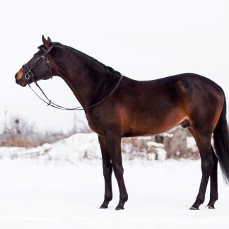 ПРОДАН! Реферат 08