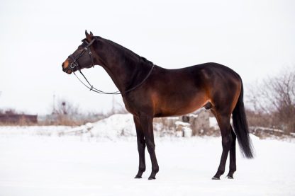 ПРОДАН! Реферат 08