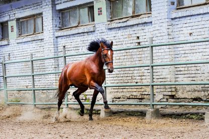 ПРОДАН! Grosbois 14 - Зображення 6