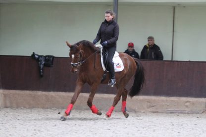 ПРОДАН! DaVinci 14 - Зображення 5
