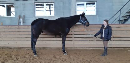 ПРОДАН! Адмирал 10