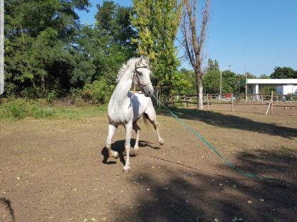 ПРОДАН! Пепел 14 - Зображення 4