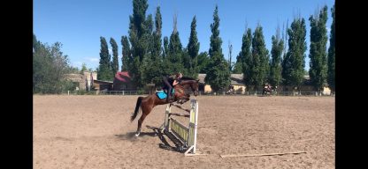 ПРОДАН! Диамант 12 - Зображення 3