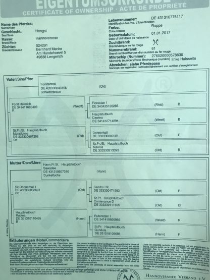ПРОДАН! FUTURE 17 - Зображення 3
