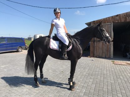 ПРОДАН! Шевалье 11 - Зображення 3