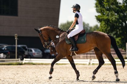 Agra 11 - Зображення 2