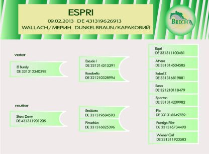 SOLD! Espri 13 - Зображення 3