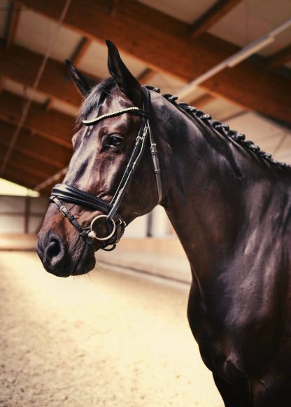 SOLD! Dancer 17 - Зображення 2