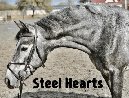 Steel Hearts 16 - Зображення 3