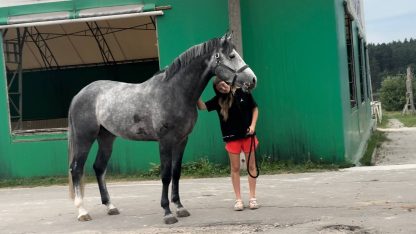 SOLD! El Capo 19 - Зображення 4