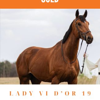 SOLD! Lady Vi d’Or 19