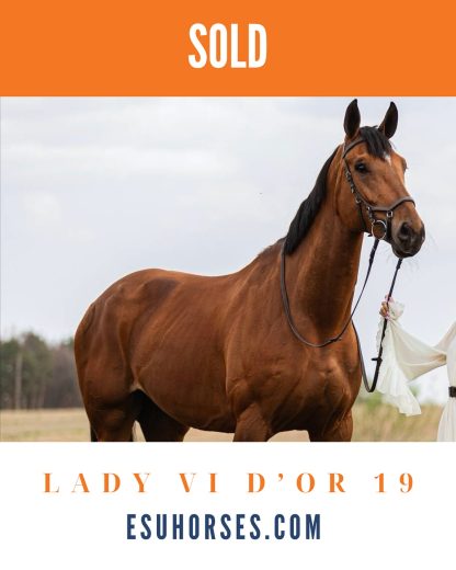 SOLD! Lady Vi d’Or 19