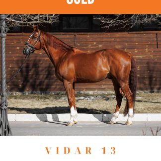 SOLD! Vidar 13