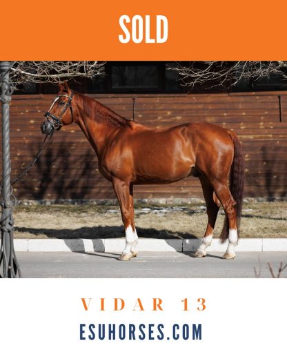 SOLD! Vidar 13