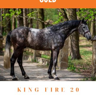 SOLD! King Fire 20