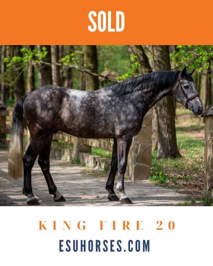 SOLD! King Fire 20